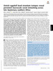 Research paper thumbnail of Ostrich eggshell bead strontium isotopes reveal persistent macroscale social networking across late Quaternary southern Africa