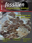 Research paper thumbnail of Baumfarne - eine Erfolgsgeschichte seit dem Erdmittelalter