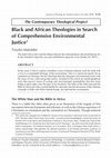 Research paper thumbnail of Black and African Theologies in Search of Environmental Justice by Tinyiko Maluleke https://proftinyikomaluleke.co.za/