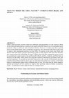 Research paper thumbnail of "Have we missed the 'China factor'?": Evidence from Brazil and Mexico