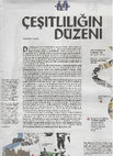 Research paper thumbnail of Çeşitliliğin düzeni. Arts of the Working Class