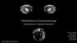 Research paper thumbnail of Introduction to Cognitive Science II: Interdisciplinary Introduction to Visual Processing (lecture presentation)