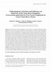 Research paper thumbnail of Anthropogenic Activities and Influence on Behavior of the Tana River Mangabey (Cercocebus galeritus) in Two Forest Fragments in Lower Tana River, Kenya