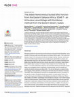 Research paper thumbnail of The oldest Homo erectus buried lithic horizon from the Eastern Saharan Africa. EDAR 7 -an Acheulean assemblage with Kombewa method from the Eastern Desert, Sudan