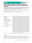 Research paper thumbnail of Newly Synthesized cAMP is Integrated at a Membrane Protein Complex Signalosome to Ensure Receptor-response Specificity