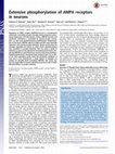 Research paper thumbnail of Extensive phosphorylation of AMPA receptors in neurons