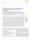 Research paper thumbnail of The Phenotypic Plasticity of Duplicated Genes in Saccharomyces cerevisiae and the Origin of Adaptations