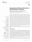 Research paper thumbnail of Aneuploidy and Ethanol Tolerance in Saccharomyces cerevisiae