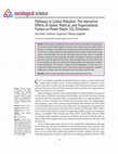 Research paper thumbnail of Pathways to Carbon Pollution: The Interactive Effects of Global, Political, and Organizational Factors on Power Plants’ CO2 Emissions