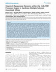 Research paper thumbnail of Vitamin D Responsive Elements within the HLA-DRB1 Promoter Region in Sardinian Multiple Sclerosis Associated Alleles