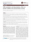 Research paper thumbnail of AIRE acetylation and deacetylation: effect on protein stability and transactivation activity