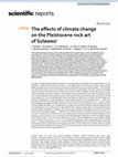 Research paper thumbnail of The effects of climate change on the Pleistocene rock art of Sulawesi