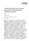 Research paper thumbnail of 2020.Ancient pigs reveal a near-complete genomic turnover following their introduction to Europe