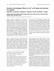 Research paper thumbnail of Structural and biological effects of a ��2- or ��3-amino acid insertion in a peptide