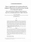 Research paper thumbnail of Rutas y significados de la profesionalización indígena. Experiencias de profesionistas Ayuujk en la educación superior