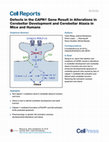 Research paper thumbnail of Defects in the CAPN1 Gene Result in Alterations in Cerebellar Development and Cerebellar Ataxia in Mice and Humans