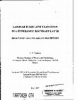 Research paper thumbnail of Laminar Turbulent Transition in a Hypersonic Boundary Layer. Receptivity and Instability Pre-History