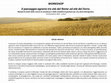 Research paper thumbnail of CALL FOR ABSTRACT - Il paesaggio agrario tra età del Rame ed età del Ferro. Metodi di analisi delle risorse di sussistenza e delle modalità di gestione per una stima demografica.