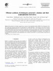 Research paper thumbnail of Efficient Synthesis of β‐Halogeno Protected L‐Alanines and Their β‐Phosphonium Derivatives