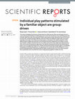 Research paper thumbnail of Individual play patterns stimulated by a familiar object are group-driven