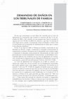 Research paper thumbnail of Demandas de daño en los tribunales de familia. Comentarios a un fallo, a partir de la modificación introducida por la ley 20.286 en materia de competencia del tribunal (2008)