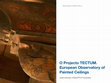 Research paper thumbnail of Projecto TECTUM. European Observatory of Painted Ceilings