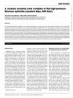 Research paper thumbnail of A Jurassic oceanic core complex in the high-pressure Monviso ophiolite (western Alps, NW Italy)