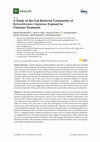 Research paper thumbnail of A Study of the Gut Bacterial Community of Reticulitermes virginicus Exposed to Chitosan Treatment