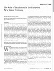 Research paper thumbnail of The Role of Incubators in the European New Space Economy