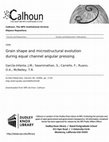 Research paper thumbnail of Grain shape and microstructural evolution during equal channel angular pressing