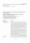 Research paper thumbnail of Perioperative Anemia and Transfusion in Colorectal Cancer Patients