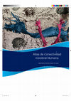 Research paper thumbnail of Atlas de Conectividad Cerebral Humana