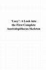 Research paper thumbnail of 'Lucy': A Look into the First Complete Australopithecus Skeleton