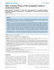 Research paper thumbnail of PpiA, a Surface PPIase of the Cyclophilin Family in Lactococcus lactis