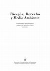 Research paper thumbnail of Riesgos e institucionalidad ambiental chilena: la gestión del riesgo en la LOSMA