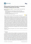 Research paper thumbnail of Mitochondrial Genome Diversity in Collembola: Phylogeny, Dating and Gene Order