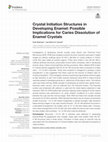 Research paper thumbnail of Crystal Initiation Structures in Developing Enamel: Possible Implications for Caries Dissolution of Enamel Crystals