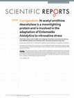 Research paper thumbnail of Corrigendum: N-acetyl ornithine deacetylase is a moonlighting protein and is involved in the adaptation of Entamoeba histolytica to nitrosative stress