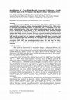 Research paper thumbnail of Identification of a New White-Berried Grapevine Cultivar as a Result from Bud Sport of the Portuguese Blue Black Cultivar 'Alfrocheiro Preto