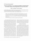 Research paper thumbnail of Ergasilus trygonophilus sp. nov. (Copepoda: Ergasilidae) a branchial parasite of freshwater stingrays (Potamotrygonidae) from state of Pará, Brazil