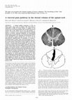 Research paper thumbnail of A visceral pain pathway in the dorsal column of the spinal cord