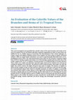 Research paper thumbnail of An Evaluation of the Calorific Values of the Branches and Stems of 11 Tropical Trees