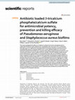 Research paper thumbnail of Antibiotic loaded β-tricalcium phosphate/calcium sulfate for antimicrobial potency, prevention and killing efficacy of Pseudomonas aeruginosa and Staphylococcus aureus biofilms