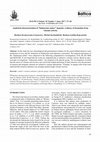 Research paper thumbnail of Analytical characterization of “Indonesian amber” deposits: evidence of formation from volcanic activity