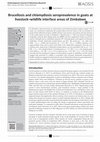 Research paper thumbnail of Brucellosis and chlamydiosis seroprevalence in goats at livestock–wildlife interface areas of Zimbabwe