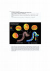 Research paper thumbnail of 4. Numerical visualization of blood flow in the cerebral artery