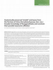 Research paper thumbnail of Anatomically preserved " strobili " and leaves from the Permian of China (Dorsalistachyaceae, fam. nov.) broaden knowledge of Noeggerathiales and constrain their possible taxonomic affi nities 1