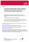 Research paper thumbnail of Contraction and intracellular calcium transport in epicardial and endocardial ventricular myocytes from streptozotocin-induced diabetic rat