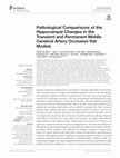 Research paper thumbnail of Pathological Comparisons of the Hippocampal Changes in the Transient and Permanent Middle Cerebral Artery Occlusion Rat Models