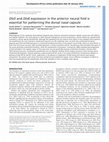 Research paper thumbnail of Dlx5 and Dlx6 expression in the anterior neural fold is essential for patterning the dorsal nasal capsule